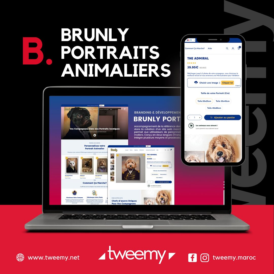 Brunly Portraits — projet Tweemy